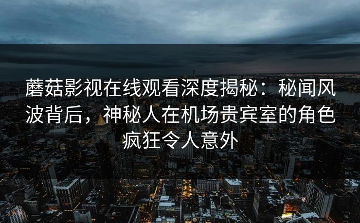 蘑菇影视在线观看深度揭秘：秘闻风波背后，神秘人在机场贵宾室的角色疯狂令人意外