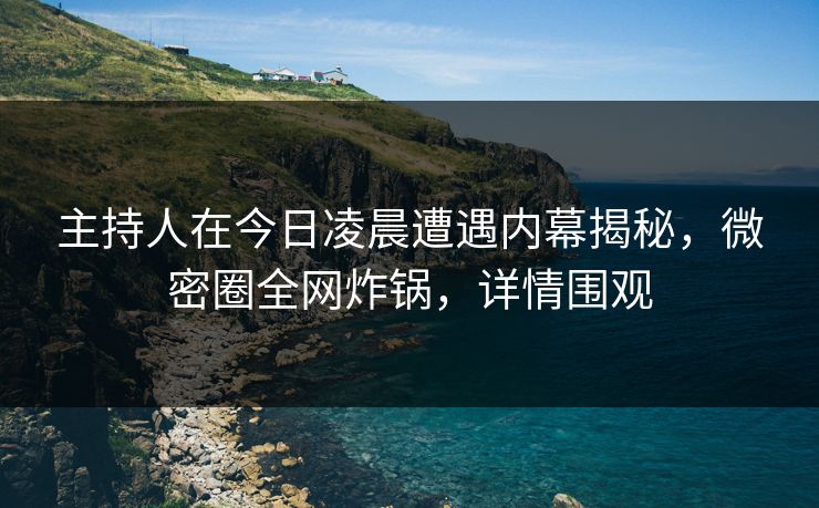 主持人在今日凌晨遭遇内幕揭秘，微密圈全网炸锅，详情围观