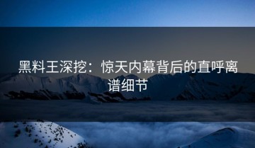 黑料王深挖：惊天内幕背后的直呼离谱细节
