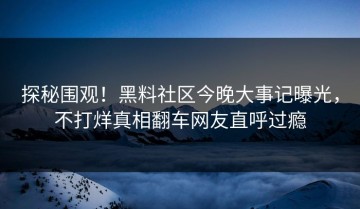 探秘围观！黑料社区今晚大事记曝光，不打烊真相翻车网友直呼过瘾