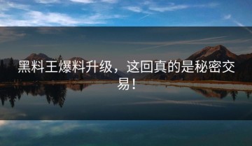 黑料王爆料升级，这回真的是秘密交易！