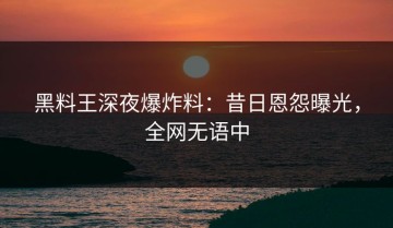 黑料王深夜爆炸料：昔日恩怨曝光，全网无语中