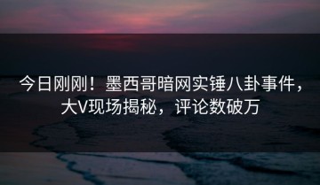 今日刚刚！墨西哥暗网实锤八卦事件，大V现场揭秘，评论数破万