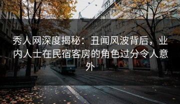 秀人网深度揭秘：丑闻风波背后，业内人士在民宿客房的角色过分令人意外