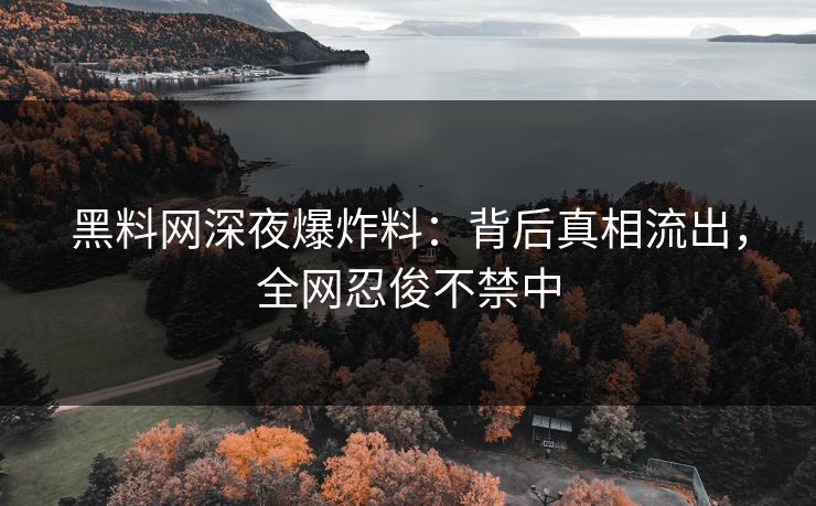 黑料网深夜爆炸料：背后真相流出，全网忍俊不禁中