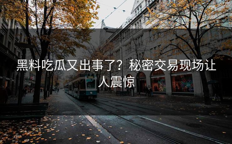 黑料吃瓜又出事了？秘密交易现场让人震惊