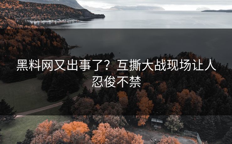 黑料网又出事了？互撕大战现场让人忍俊不禁
