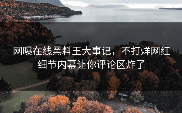 网曝在线黑料王大事记，不打烊网红细节内幕让你评论区炸了