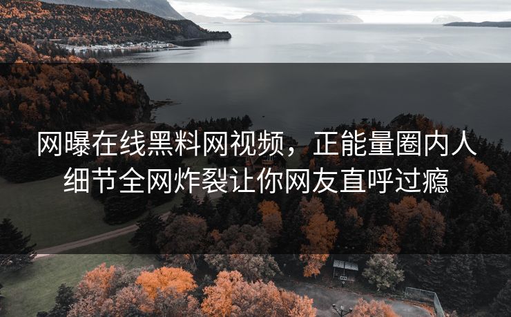 网曝在线黑料网视频，正能量圈内人细节全网炸裂让你网友直呼过瘾