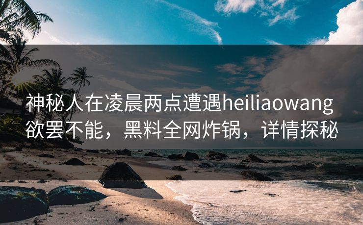 神秘人在凌晨两点遭遇heiliaowang 欲罢不能，黑料全网炸锅，详情探秘